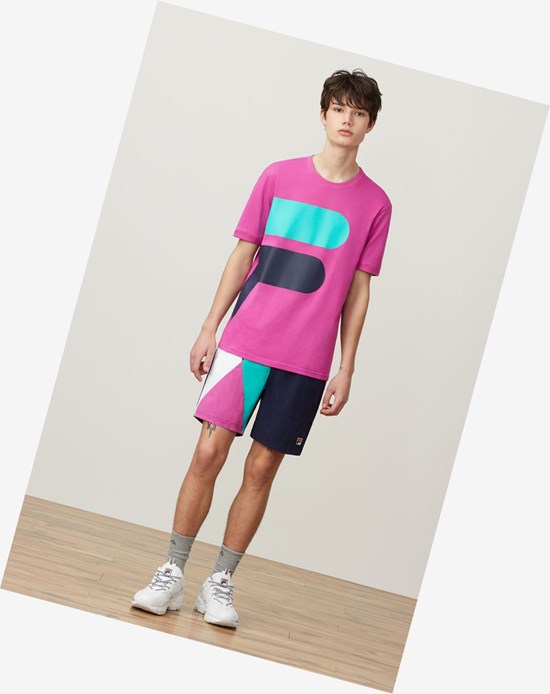 Fila Alvan Tee Prpo/Peac/Plgrn | 162KPQHVN