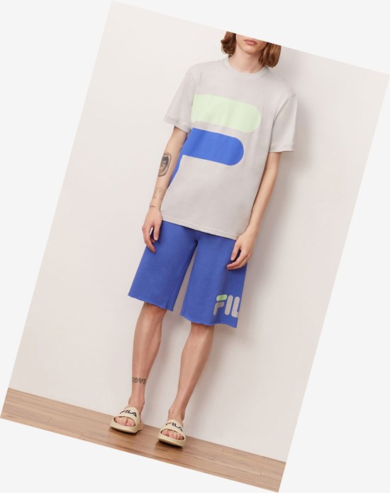 Fila Alvan Tee Qgry/Ampb/Pgrn | 136UJSVHG