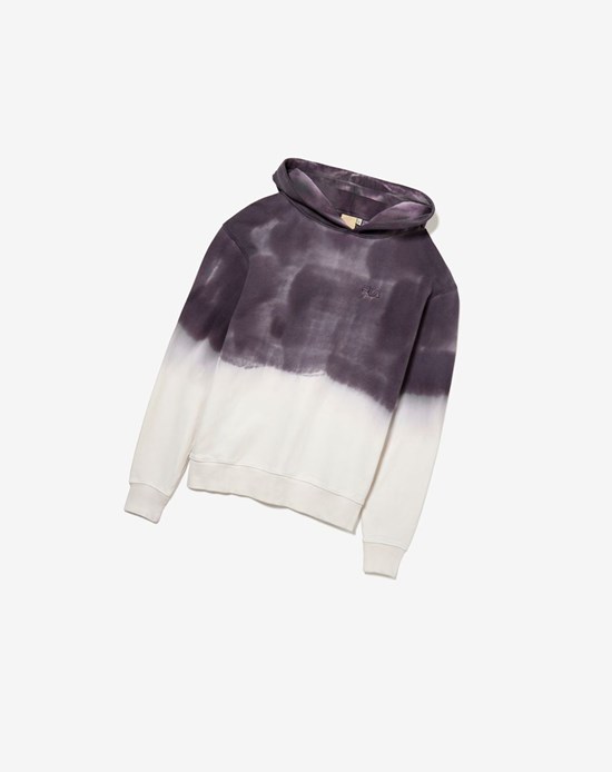 Fila Sigurd Gradient Hoodie Rabbit/Marshm | 285GHNSFM